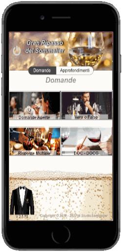 Schermata del programma Gran Ripasso del Sommelier